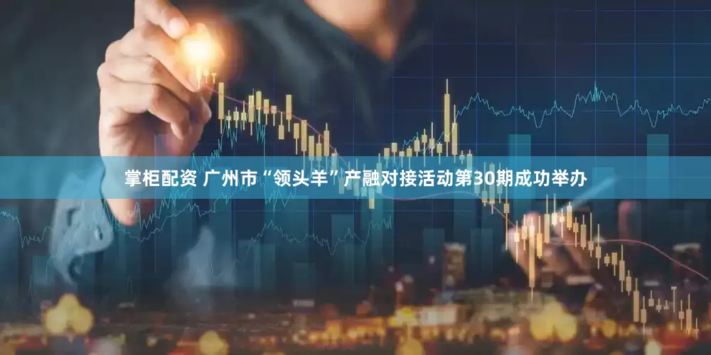掌柜配资 广州市“领头羊”产融对接活动第30期成功举办