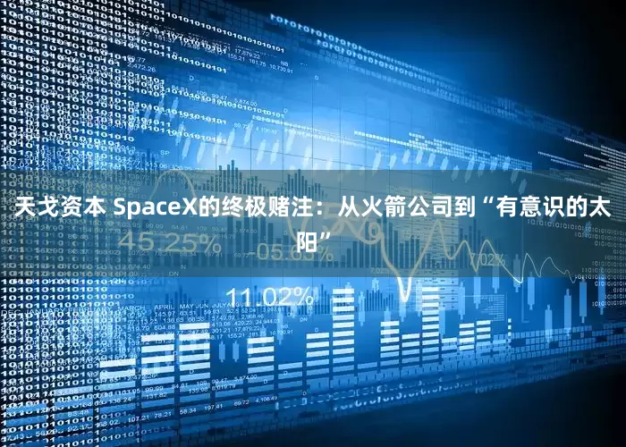 天戈资本 SpaceX的终极赌注：从火箭公司到“有意识的太阳”