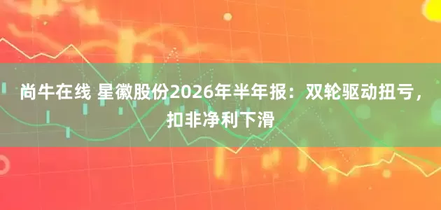 尚牛在线 星徽股份2026年半年报：双轮驱动扭亏，扣非净利下滑