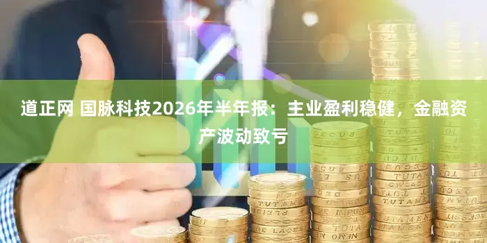 道正网 国脉科技2026年半年报：主业盈利稳健，金融资产波动致亏